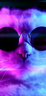 Funky cat in sunglasses with a neon purple glow background.