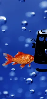 Whimsical black cat and goldfish with bubbles on blue background wallpaper.