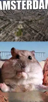 Giant hamster with Amsterdam cityscape background.