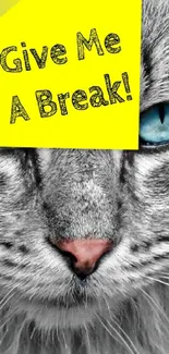 Amusing cat wallpaper with yellow sticky note reading "Give Me A Break!"