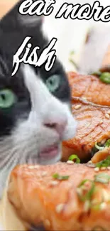 Black and white cat with salmon fish slices and 'eat more fish' text.