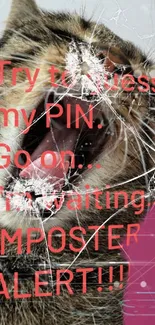 Humorous wallpaper featuring a cat with a cracked phone screen saying 'IMPOSTER ALERT!'.