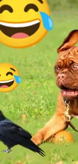 Funny wallpaper with dog, crow, and emojis.