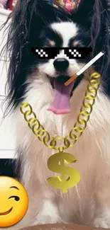 Funny dog with sunglasses and gold chain, on a colorful background.