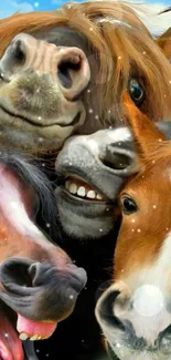 Amusing group of smiling horses, perfect for fun wallpaper.