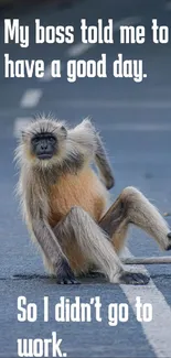 Humorous monkey sitting with a funny quote on pavement.