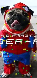 Pug wearing a superhero costume with a funny expression.