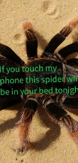 Tarantula on sand with a humorous phone warning message.