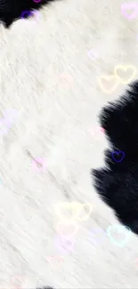 Black and white fur texture with colorful hearts.