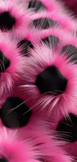 Vibrant furry pink and black abstract design.