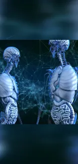 Futuristic digital anatomy with skeleton and brain connections.