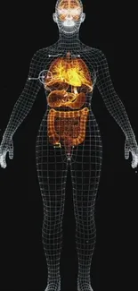 Digital grid showing human anatomy glowing in a futuristic design.