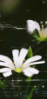 White flowers with digital futuristic elements on a green background.