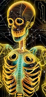 Futuristic glowing skeleton with neon colors and digital circuitry background.