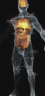 Futuristic anatomical illustration of a human figure.