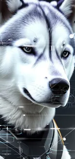 Futuristic husky wearing space armor in a sleek sci-fi setting.