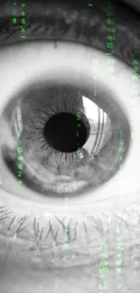 Close-up of an eye with Matrix code overlay in green and gray tones.