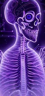 Futuristic neon skeleton with purple glow on digital background.