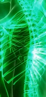 Glowing neon green spine art wallpaper.