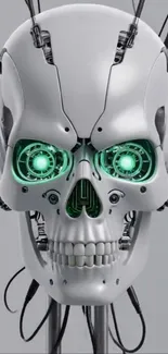 Futuristic robot skull with glowing eyes.
