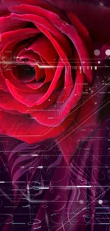 Futuristic red rose with digital effects on mobile wallpaper.