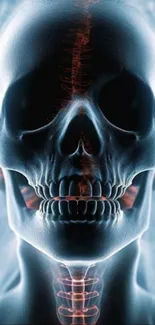 Futuristic X-ray skull artwork in surreal blue tones.