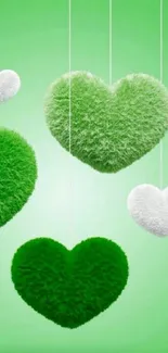 Green fuzzy hearts hanging on vibrant background.