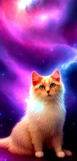 Fantasy cat sitting under a vibrant, swirling galaxy backdrop.