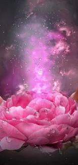 Mystical hands holding a glowing pink flower against a cosmic backdrop.