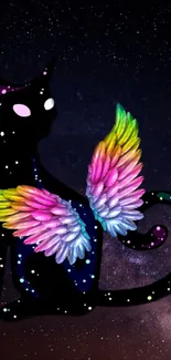 Black cat with rainbow wings on a starry background wallpaper.