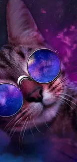 Cat with galaxy sunglasses against purple background.