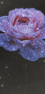 A galaxy flower wallpaper with cosmic, luminous petals on a dark background.