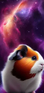 Guinea pig against a vibrant purple galaxy background.