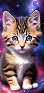 Cute kitten with blue eyes in a colorful galaxy background.