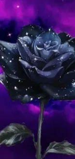 A galaxy-styled rose on a purple sky background.