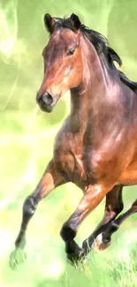 Majestic horse galloping through green field