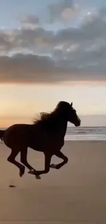 Silhouette of a horse running on a beach at sunset with a serene ocean backdrop.