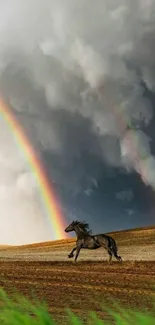 Horse running under rainbow with storm clouds.