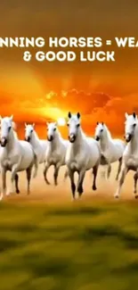 White horses galloping at sunset with an inspiring message.