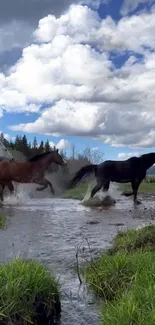 Horses galloping through a stream with lush greenery and a cloudy sky backdrop.