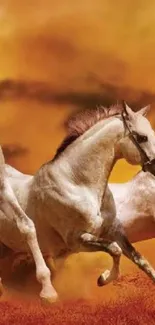 Three horses galloping in front of a vibrant orange sunset.