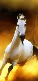 Galloping white horse on golden background wallpaper.