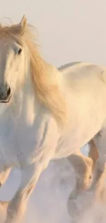 White horse galloping through snowy landscape sea wallpaper.