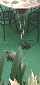 Turtles wandering on green garden carpet under patio furniture.