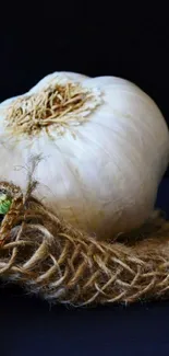 Close-up of fresh garlic on a rustic, dark textured background.