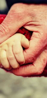 Elder and child hands showing generational love and connection.