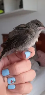 Bird perched on a hand with light blue nails.