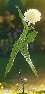 Artistic illustration of a blooming flower with green leaves