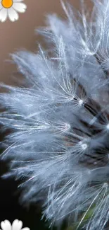 Soft dandelion fluff with daisies on a mobile wallpaper.