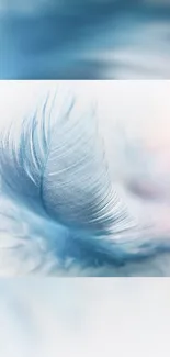 Elegant blue feather on a soft background wallpaper.